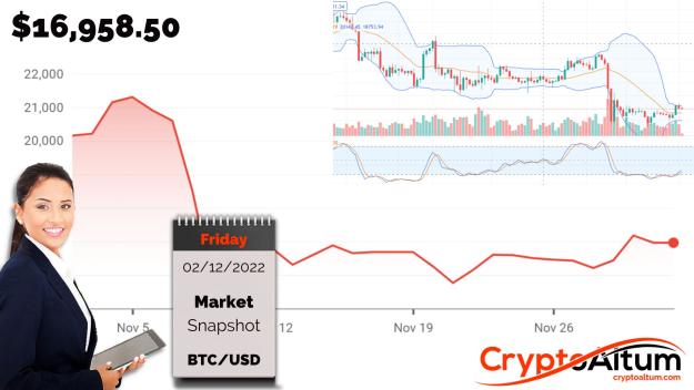 Click to Enlarge

Name: BTC-Uptrend-Limited-at-$17.5k.jpg
Size: 173 KB