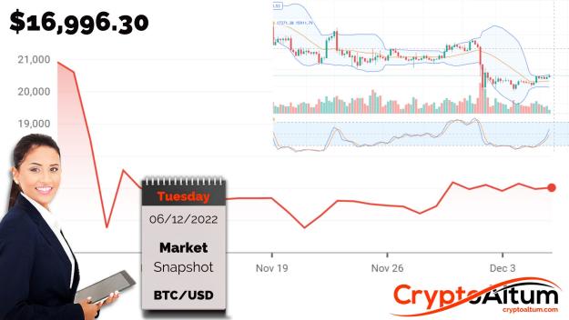Click to Enlarge

Name: BTC-in-Bullish-Engulfing-Bar.jpg
Size: 171 KB