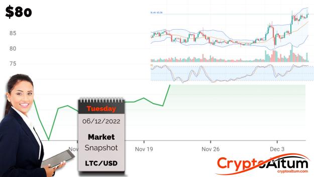 Click to Enlarge

Name: LTC-Rallies-67-Percent.jpg
Size: 158 KB