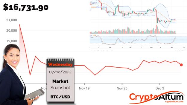 Click to Enlarge

Name: BTC-Support-at-16.5k.jpg
Size: 173 KB