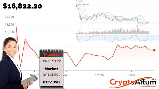 Click to Enlarge

Name: BTC-in-$2k-Range.jpg
Size: 169 KB