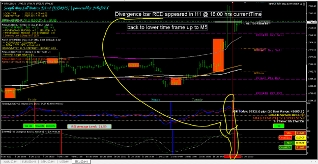 Click to Enlarge

Name: BTC DIVERGENCE BAR RED H1.PNG
Size: 32 KB