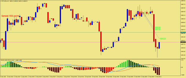 Click to Enlarge

Name: BTCUSD.aM1.png
Size: 19 KB