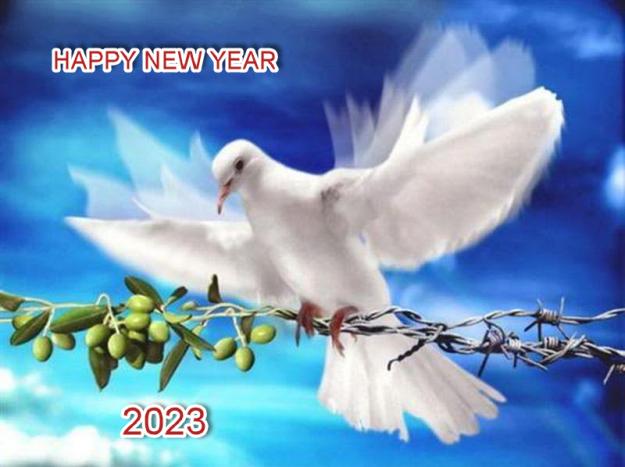 Click to Enlarge

Name: peace.jpg
Size: 80 KB
