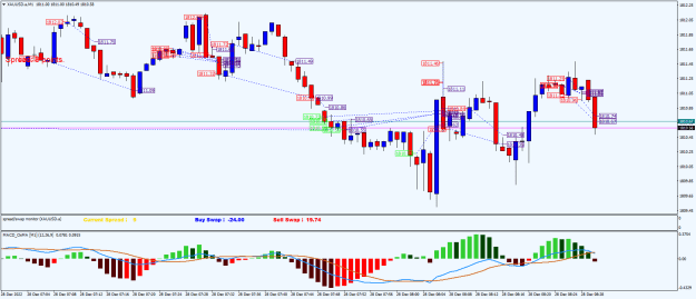 Click to Enlarge

Name: XAUUSD.aM1.png
Size: 27 KB