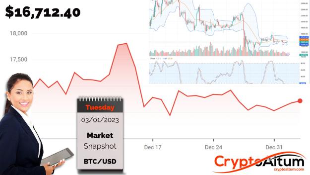 Click to Enlarge

Name: BTC-Up-2-Percent.jpg
Size: 183 KB