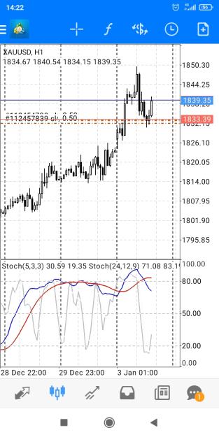 Click to Enlarge

Name: Screenshot_2023-01-03-14-22-33-930_net.metaquotes.metatrader4.jpg
Size: 339 KB