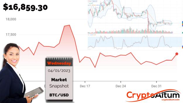 Click to Enlarge

Name: BTC-Buy-Trigger-at-$17k.jpg
Size: 181 KB