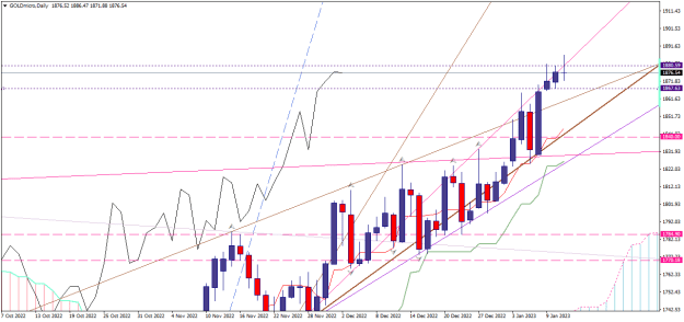 Click to Enlarge

Name: goldmicro-d1-xm-global-limited 11 01 a.png
Size: 21 KB