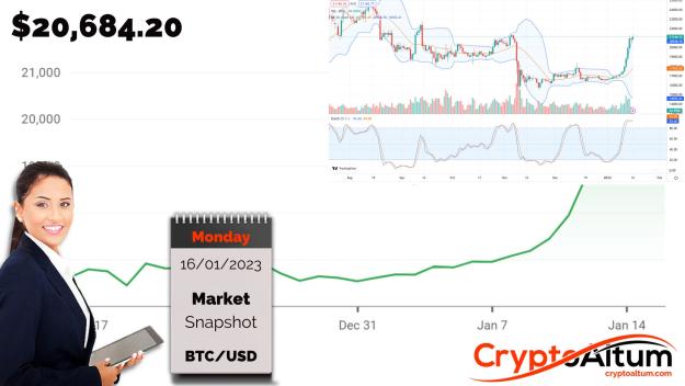 Click to Enlarge

Name: BTC-Bulls-Sighting-23k.jpg
Size: 173 KB