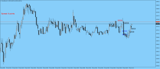 Click to Enlarge

Name: XAUUSD.aM1.png
Size: 15 KB