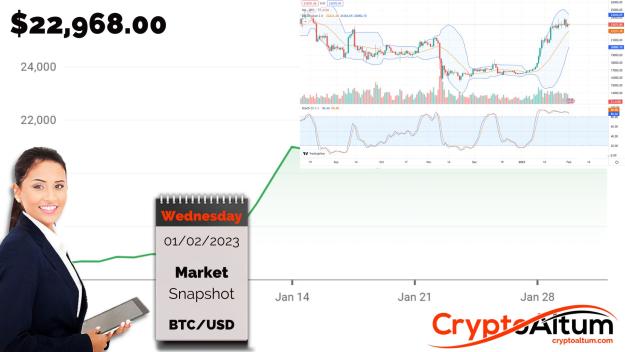 Click to Enlarge

Name: BTC-is-Relatively-Steady.jpg
Size: 170 KB