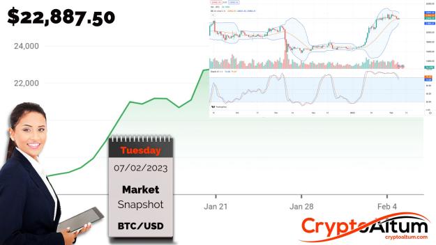 Click to Enlarge

Name: BTC-Trading-above-$22.5k.jpg
Size: 168 KB