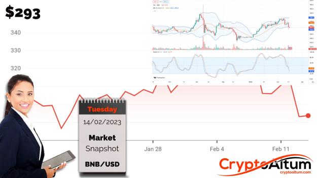 Click to Enlarge

Name: BNB-Drops-15-Percent.jpg
Size: 164 KB
