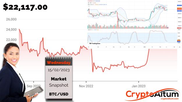 Click to Enlarge

Name: BTC-Trend-is-Bearish.jpg
Size: 181 KB