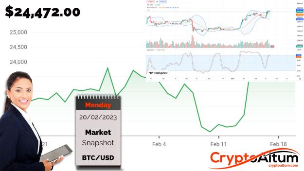 Click to Enlarge

Name: BTC-Resistance-$25k.jpg
Size: 174 KB