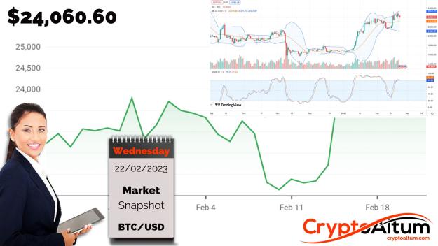 Click to Enlarge

Name: BTC-Drops-4-Percent.jpg
Size: 177 KB