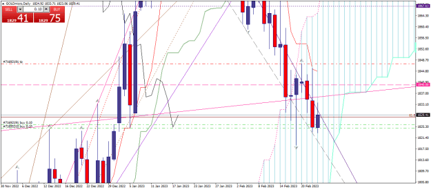 Click to Enlarge

Name: goldmicro-d1-xm-global-limited 23 02 c.png
Size: 22 KB