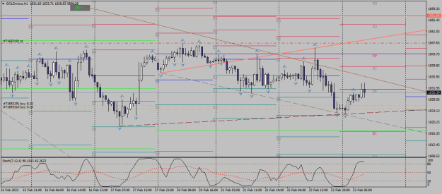 Click to Enlarge

Name: goldmicro-h1-xm-global-limited 23 02 b.png
Size: 22 KB