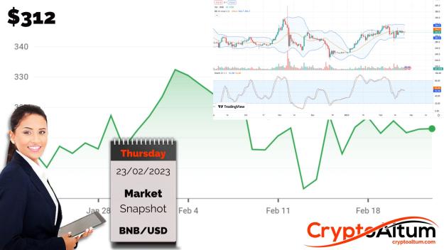 Click to Enlarge

Name: BNB-Resistance-at-$320.jpg
Size: 173 KB