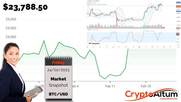 Click to Enlarge

Name: BTC-Prices-Lower.jpg
Size: 176 KB