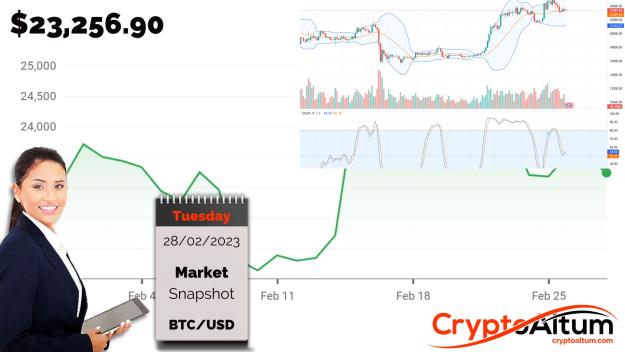 Click to Enlarge

Name: BTC-is-Weak.jpg
Size: 172 KB