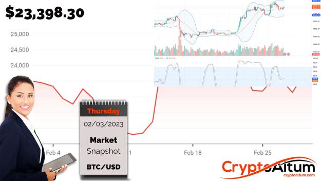 Click to Enlarge

Name: BTC-in-Bear-Bar.jpg
Size: 167 KB