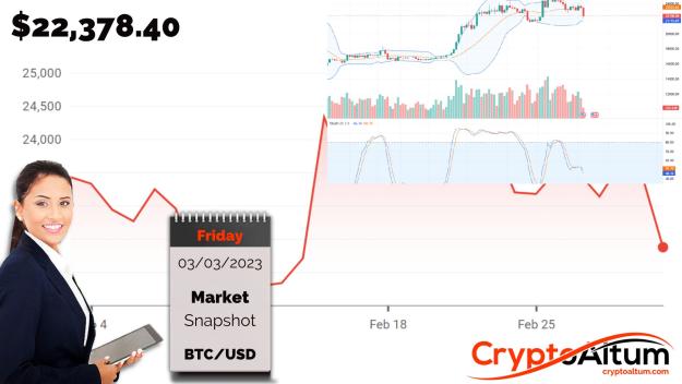 Click to Enlarge

Name: BTC-Sellers-Step-Up.jpg
Size: 163 KB