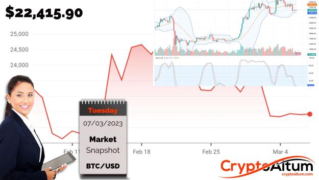 Click to Enlarge

Name: BTC-Volumes-Thin.jpg
Size: 177 KB
