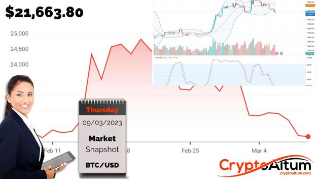 Click to Enlarge

Name: BTC-Sell-Off-Continues.jpg
Size: 175 KB