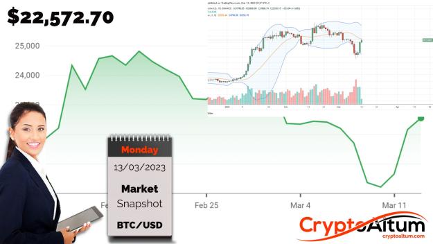 Click to Enlarge

Name: BTC-Adds-13-Percent.jpg
Size: 169 KB