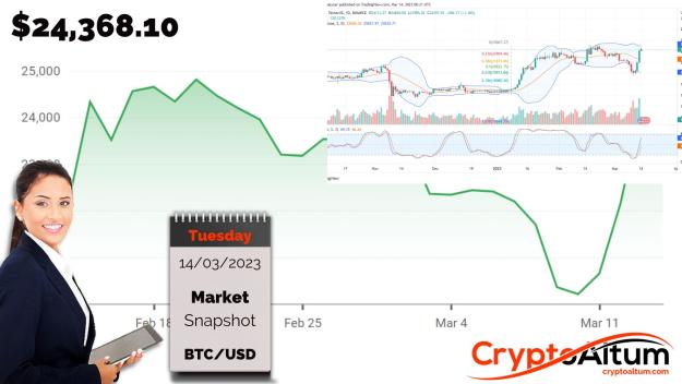 Click to Enlarge

Name: BTC-Up-24-Percent.jpg
Size: 179 KB