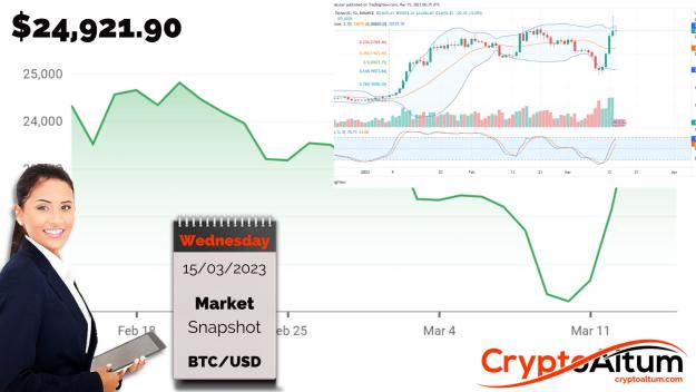 Click to Enlarge

Name: BTC-High-at-$26.3k.jpg
Size: 171 KB