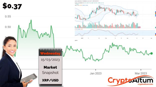 Click to Enlarge

Name: XRP-in-Bull-Flag.jpg
Size: 178 KB