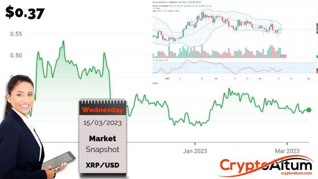 Click to Enlarge

Name: XRP-in-Bull-Flag.jpg
Size: 178 KB