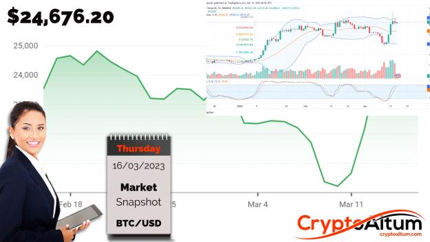 Click to Enlarge

Name: BTC-Buyers-Recoil.jpg
Size: 173 KB