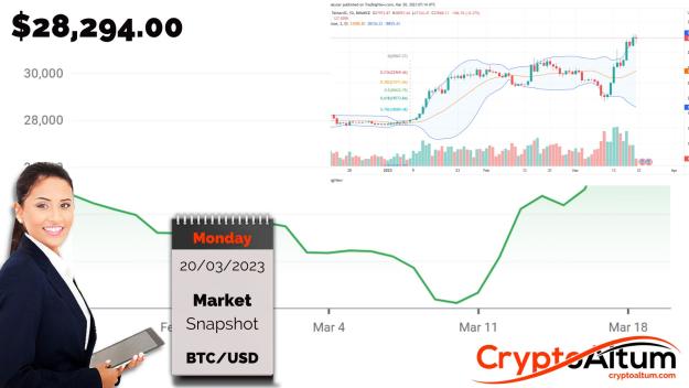 Click to Enlarge

Name: BTC-Targets-$32k.jpg
Size: 160 KB