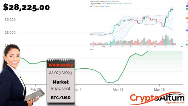 Click to Enlarge

Name: BTC-Anchors-on-$25k.jpg
Size: 158 KB