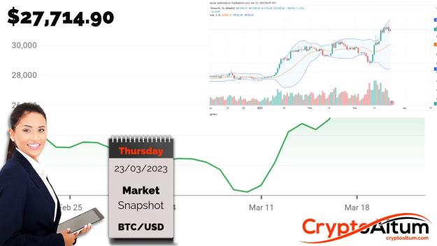 Click to Enlarge

Name: BTC-May-Drop-to-25k.jpg
Size: 157 KB