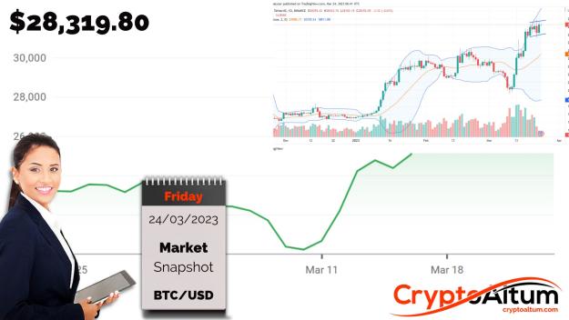 Click to Enlarge

Name: BTC-Upside-at-29k.jpg
Size: 164 KB