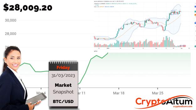Click to Enlarge

Name: BTC-in-Rising-Channel.jpg
Size: 157 KB
