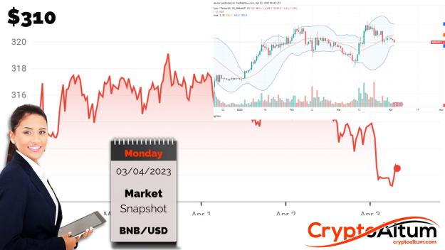 Click to Enlarge

Name: BNB-Slips-4-Percent.jpg
Size: 167 KB