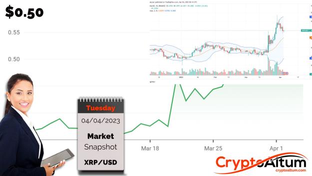 Click to Enlarge

Name: XRP-Uptrend-Remains.jpg
Size: 150 KB