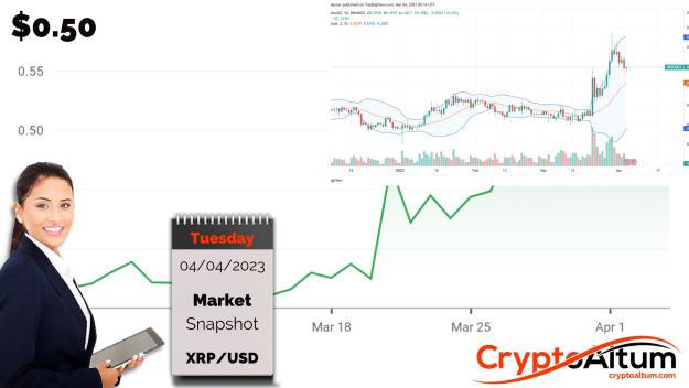 Click to Enlarge

Name: XRP-Uptrend-Remains.jpg
Size: 150 KB