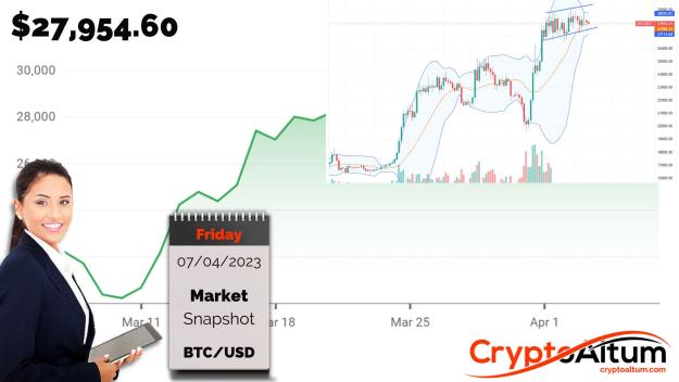 Click to Enlarge

Name: BTC-Prices-are-Drab.jpg
Size: 158 KB