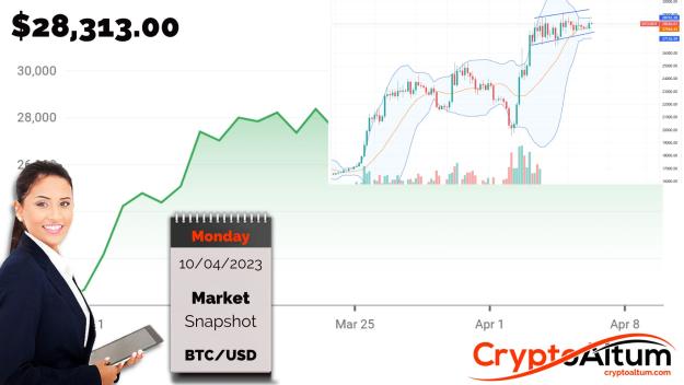 Click to Enlarge

Name: BTC-Remains-Stuck.jpg
Size: 159 KB