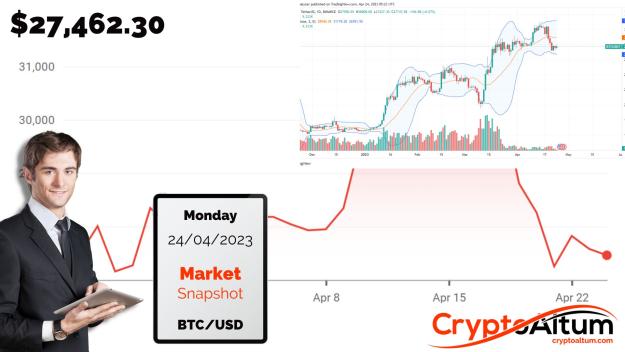 Click to Enlarge

Name: BTC-Dumps-10-Percent.jpg
Size: 167 KB