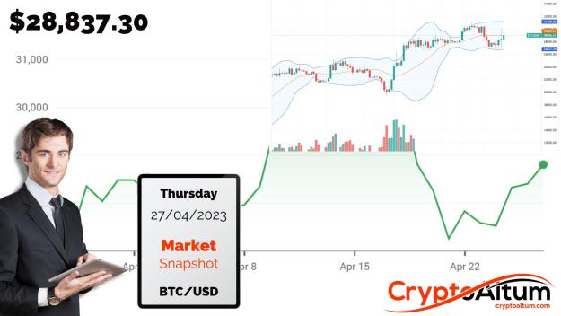 Click to Enlarge

Name: BTC-Path-Back-to-$31k.jpg
Size: 159 KB