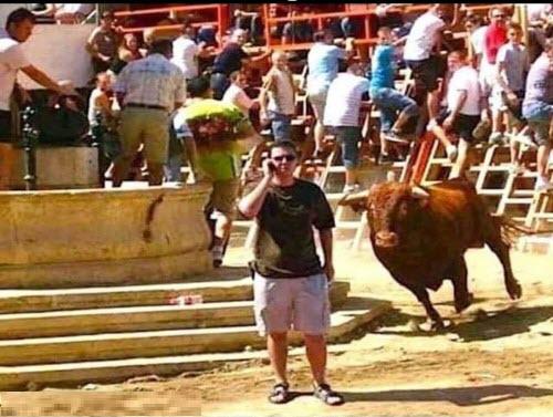 Click to Enlarge

Name: bull surpirse.jpg
Size: 53 KB