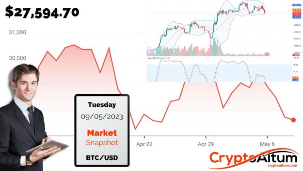 Click to Enlarge

Name: BTC-May-Break-Below-$27k.jpg
Size: 181 KB